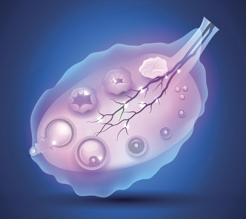 2026年成都试管婴儿医院综合实力榜单：聚焦第二代试管技术，附与费用深度解析